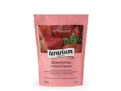 Capsuni 600G, Terarium Monte