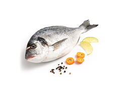 Dorada 400/600 Origine Grecia