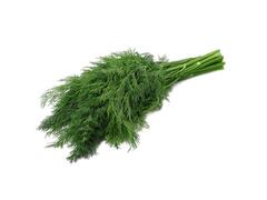 MARAR VERDE LEGATURA