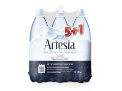 Apa Plata 6X2L  Artesia