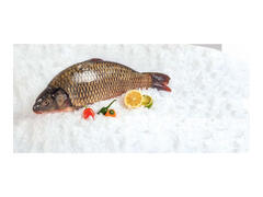 Crap pescuit eviscerat per bucata