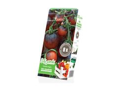 Set rasadnita medie Tomate negre