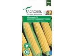 Seminte Porumb zaharat Accentuate F1 - 40 sem