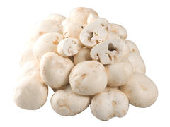 Ciuperci gratar caserola 1 kg