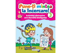 Pune-ti mintea la incercare! 3. Activitati distractive care dezvolta inteligenta