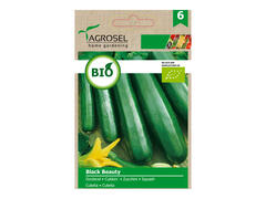 Dovlecel black beauty eco