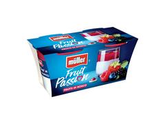 Fruit Passion Iaurt cu spuma de Fructe de padure 2x125g Muller