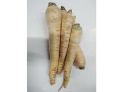 Patrunjel Radacina Import