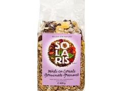 Musli cu cereale germinate granovita 400 g Solaris