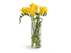 Buchet Frezii 5 Fire