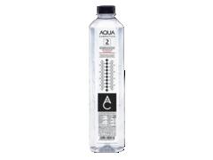 APA PLATA AQUA CARPATICA 2L SGR