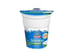 Olympus iaurt grecesc 2% 350g
