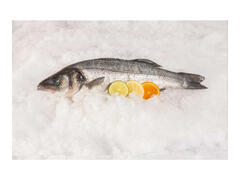 Lup De Mare 400/600 Origine Grecia