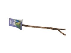 Bat din lemn pentru colivie 30.5 cm