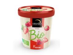 Inghetata sorbet BIO cu capsuni 500 ml, Erhard