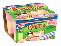 Budinca de vanilie si capsuni Paula 500 g Dr. Oetker