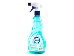 Dezinfectant fara clor Eucalipt 750ML Igienol