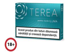 Terea  turquoise tigari