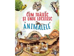 Cum traiesc si unde locuiesc animalele