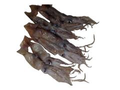 Calamar intreg mic per bucata