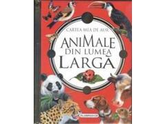 Animale Din Lumea Larga