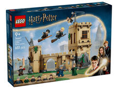 LEGO Harry Potter Castelul Hogwarts: Lectii de zbor 76447