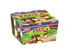 Paula Budinca cioco vanilie 4 x 125 g