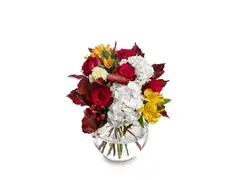 Emoție de toamnă MAG-6123