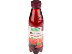 Plafar sirop fructe de padure 0.5 l