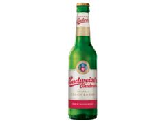 Bere Sticla 0.33L Budweiser