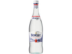 BORSEC APA 0,75L PLATA STICLA