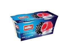 Pachet Bipack Muller Iaurt cu Mure Zmeura 2x125g