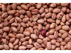 FASOLE PESTRITA FASOLE NEAGRA/ROSIE AG