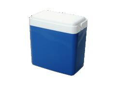 Lada frigorifica  NewStar 30 l