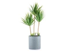 Ghiveci decorativ YUCCA, 40x10 cm, plastic