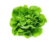 Salata Verde Ro