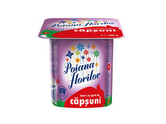 IAURT CU CAPSUNI  POIANA FLORILOR 100G