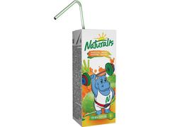 NATURALIS NECTAR 200ML MERE/MORCOV