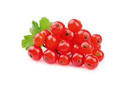 Coacaze rosii import caserola 125 g