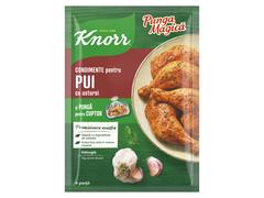 Knorr Punga Magica Friptura De Pui Cu Usturoi 28G