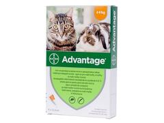 Advantage 40 pisica si iepure (< 4kg) - 1 pipeta