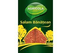 Plic salam banatean 100g Salbac