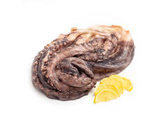 Tentacule de calamar per kg