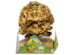 Copac cu fructe pentru rozatoare Jr Farm 270 g