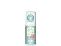 SALT OF THE EARTH 571 DEODORANT PENTRU FEMEI PURE AURA CU PEPENE SI CASTRAVETE 100ML