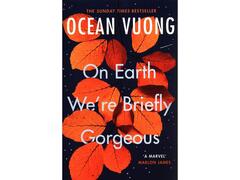 On Earth We're Briefly Gorgeous