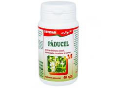 Paducel 300mg 40cps - FAVISAN