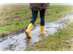 Branțuri Cizme inverness 100 Negru  - 35/36