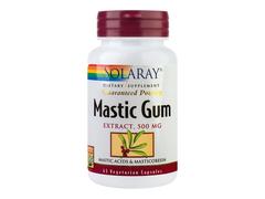 Mastic Gum 500mg