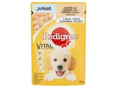 PEDIGREE JUNIOR PUI 100g